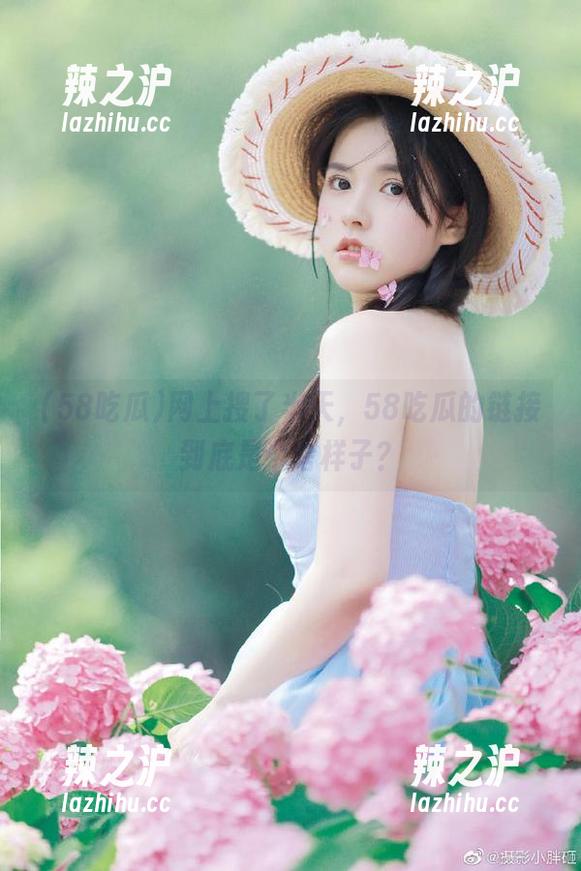 58吃瓜 网上搜了半天,58吃瓜的链接到底是个啥样子?