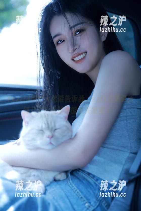 哪个大佬能告诉我，zztt视频更新到几了？紧张得能去买股票了！