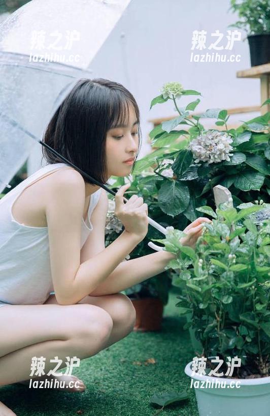 吃瓜网 朝阳下的八卦:吃瓜网网址让你不再落后于潮流!