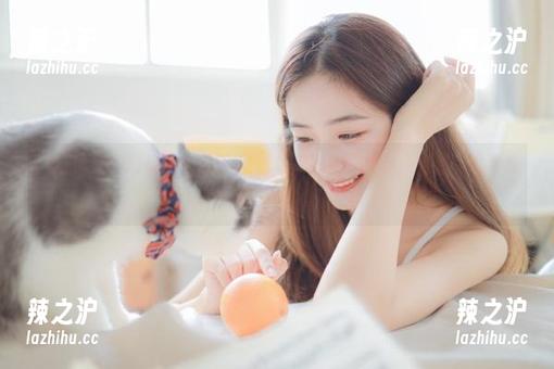 每日吃瓜网51：吃瓜线路一线牵，八卦幽默乱成片！