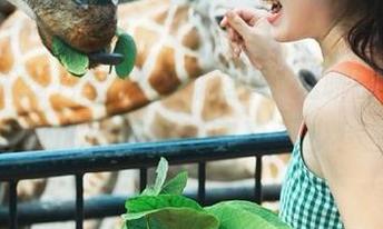 黑料在线拯救了无聊的周末，网址里藏的秘密真不少！